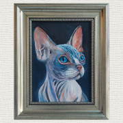 Кошка, Сфинкс